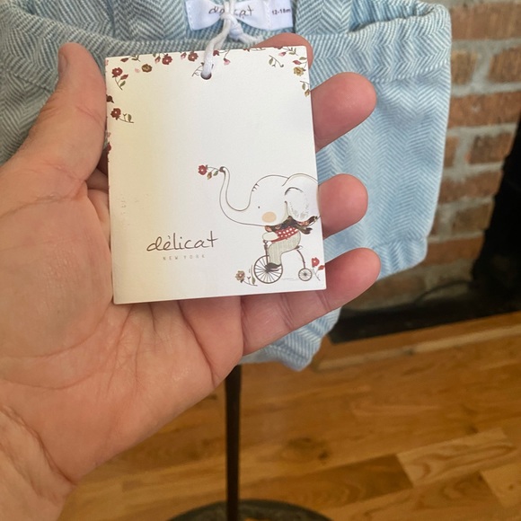 NWT delicat New York Infant boys Shortall size 9-18 months - Picture 5 of 11